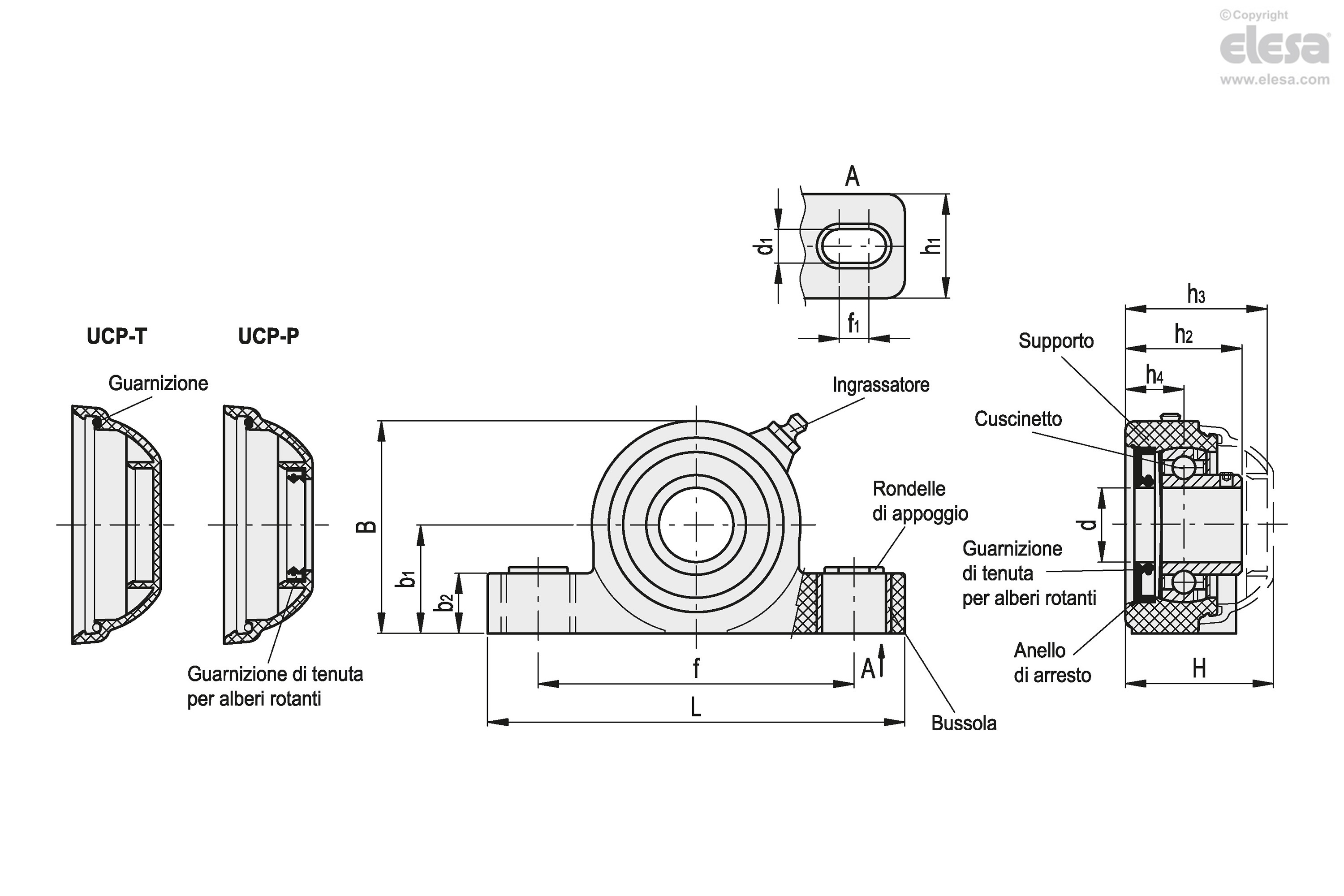 Sopra Fatto Cartellone Anelli Di Tenuta Per Alberi Rotanti Agingtheafricanlion Org