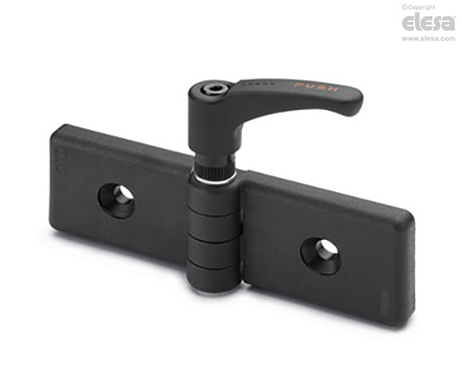 Elesa CFG-ERS