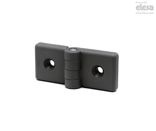 Elesa CFG.
