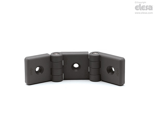 Elesa CFI.