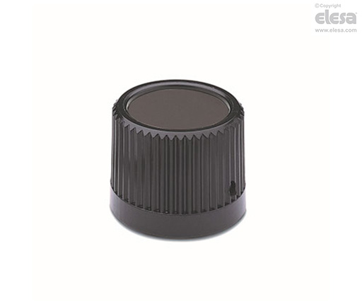 Elesa IZN.381