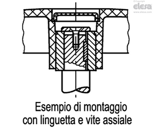 VDS. - Senza impugnatura