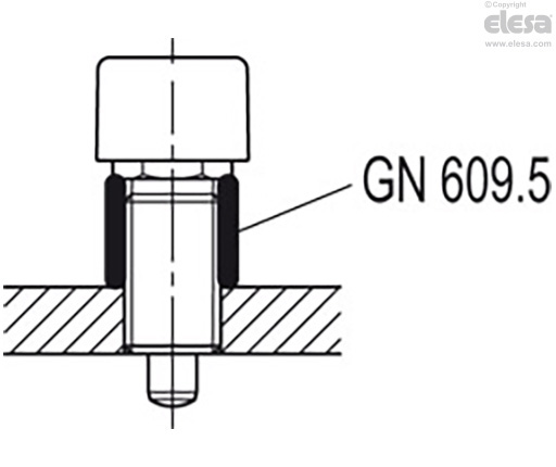 GN 514-AK - With locking nut
