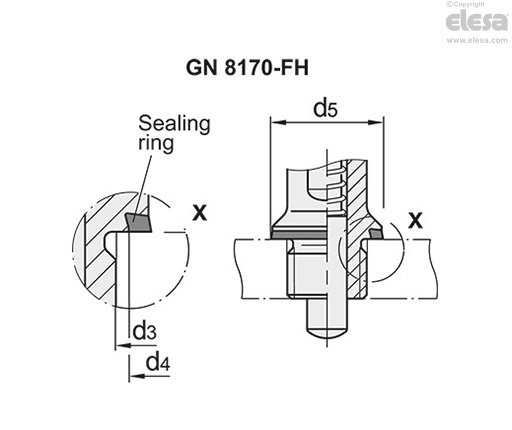 GN 8170-B-FH - Knob side Hygienic Design (front hygiene), without rest position