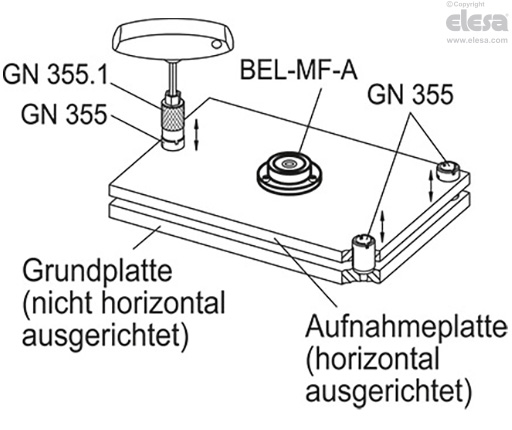 BEL-MF - Dosenlibellen