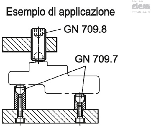 GN 709.8 - Viti di bloccaggio