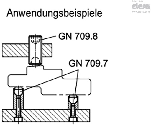 GN 709.7 - Klemmschrauben und Gewindestifte
