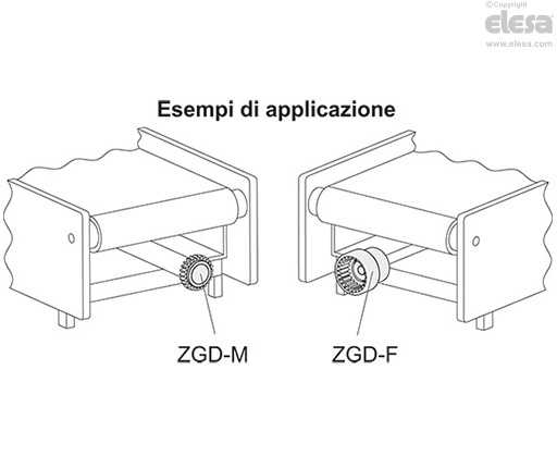 ZGD-F - Semigiunto femmina, dentatura interna