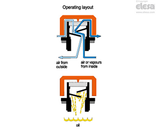 SFP+a (inch sizes) - marked "OIL".